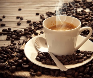 Sicoob destaca apoio ao setor cafeeiro